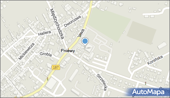 Paczkomat InPost PNI01N, Poznańska 11A, Pniewy 62-045