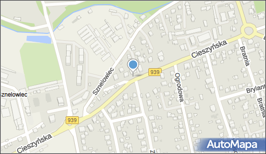 Paczkomat InPost PSZ08M, Cieszyńska 16, Pszczyna 43-200