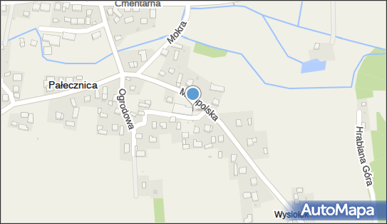 Paczkomat InPost PXA01M, Małopolska 8, Pałecznica 32-109