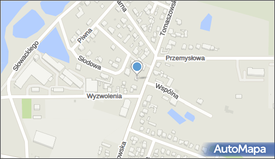 Paczkomat InPost RWM03M, Tomaszowska 24, Rawa Mazowiecka 96-200