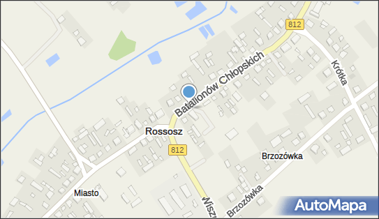 Paczkomat InPost RXS01M, Batalionów Chłopskich 87, Rossosz 21-533