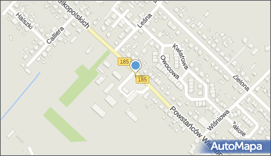 Paczkomat InPost SAM06M, Powstańców Wielkopolskich 75A, Szamotuły 64-500