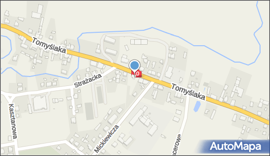 Paczkomat InPost SDK01M, Tomyślaka 28, Sadki 89-110