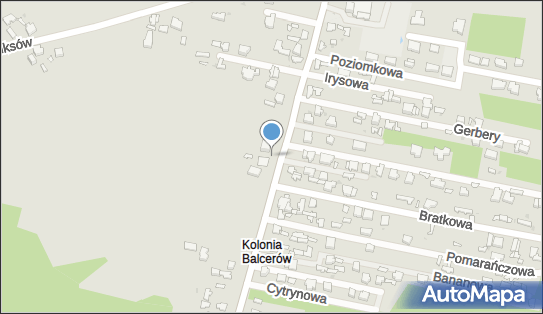 Paczkomat InPost SKI07M, Zadębie 70, Skierniewice 96-100