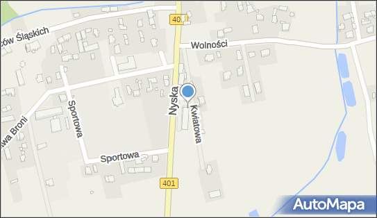 Paczkomat InPost SKX01BAPP, Nyska 2C, Skoroszyce 48-320