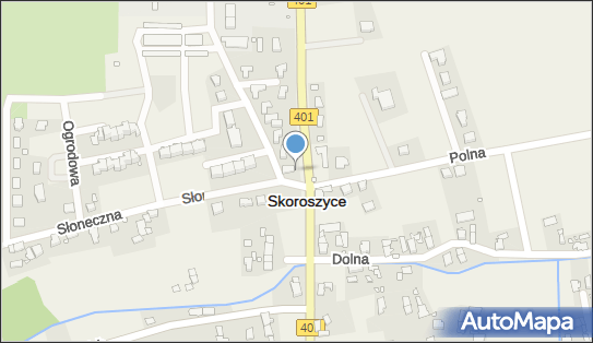 Paczkomat InPost SKX01F, Działkowa 4, Skoroszyce 48-320