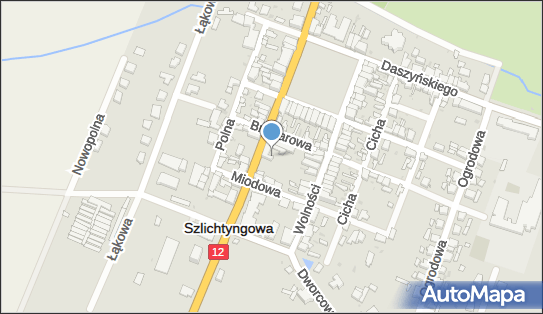 Paczkomat InPost SLY01G, Głogowska 7, Szlichtyngowa 67-407