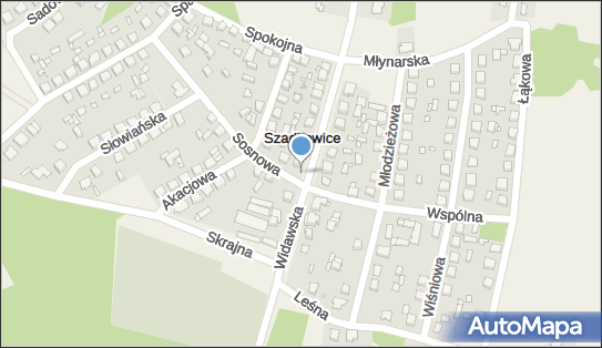 Paczkomat InPost SOG01M, Widawska 34, Szadkowice-Ogrodzim 98-240