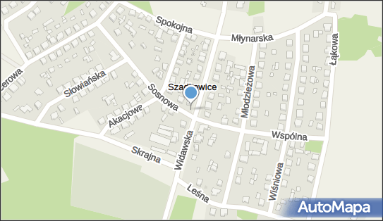 Paczkomat InPost SOG01M, Widawska 34, Szadkowice-Ogrodzim 98-240
