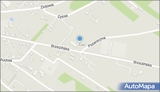 Paczkomat InPost SYK02BAPP, Brzezińska 26A, Stryków 95-010