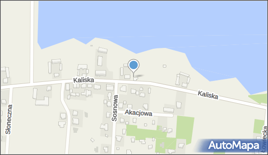 Paczkomat InPost SZLE01BAPP, Kaliska 90, Szałe 62-860