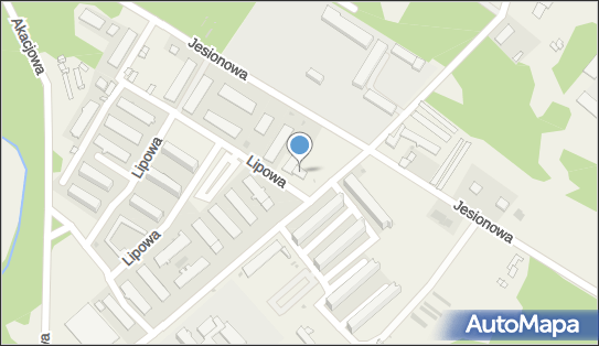 Paczkomat InPost SZP01N, Lipowa 10, Wiechlice 67-300