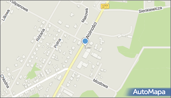 Paczkomat InPost TCO01M, Wolności 48, Tuczno 78-640