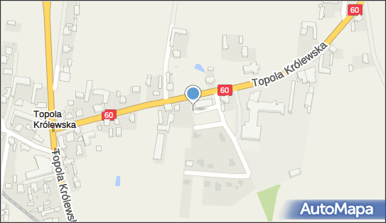 Paczkomat InPost TKL01M, Topola Królewska 62A, Topola Królewska 99-100