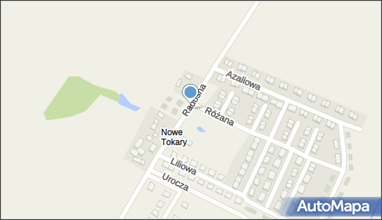 Paczkomat InPost TOKQ01BAPP, Radosna 82, Tokary 83-304