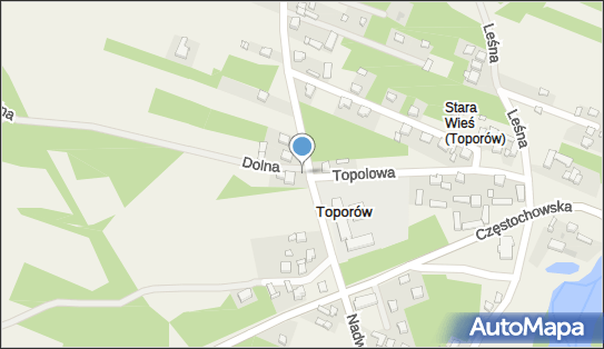 Paczkomat InPost TPO01M, Szkolna 11, Toporów 98-324