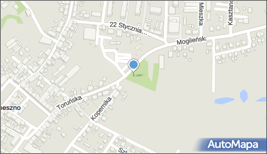 Paczkomat InPost TRE01BAPP, Toruńska 1A, Trzemeszno 62-240