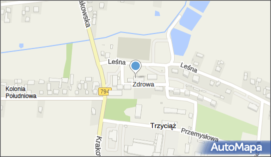 Paczkomat InPost TRY01M, Leśna 4, Trzyciąż 32-353