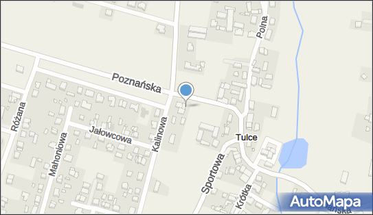 Paczkomat InPost TUC01N, Poznańska 10, Tulce 63-004