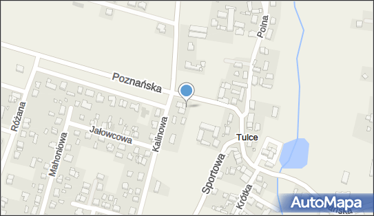 Paczkomat InPost TUC01N, Poznańska 10, Tulce 63-004