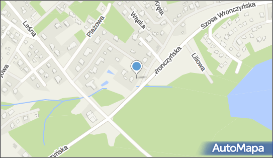 Paczkomat InPost TUCZ01M, Wrończyńska 86, Tuczno 62-007