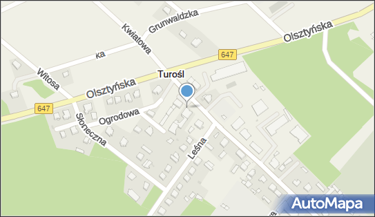 Paczkomat InPost TVR01BAPP, Jana Pawła II 6, Turośl 18-525