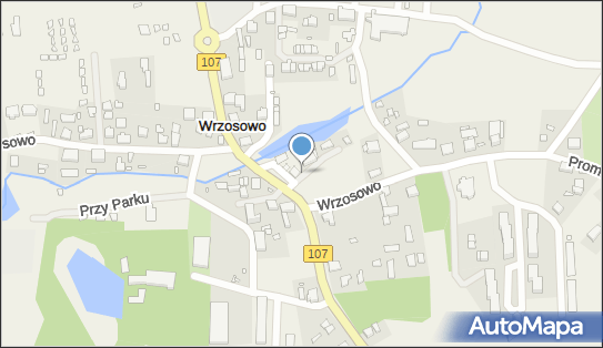 Paczkomat InPost VOW01M, Wrzosowo 24, Wrzosowo 72-400