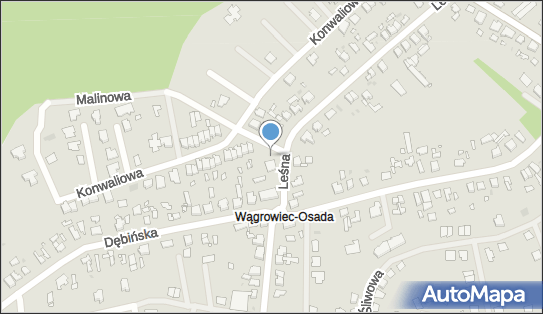 Paczkomat InPost WAG11M, Leśna 39, Wągrowiec 62-100