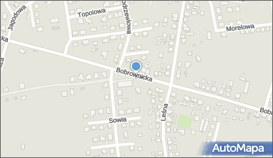 Paczkomat InPost WAG13M, Bobrownicka 43, Wągrowiec 62-100