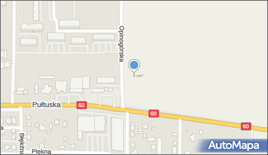 Paczkomat InPost WDY01BAPP, Opinogórska 8, Władysławowo 06-406