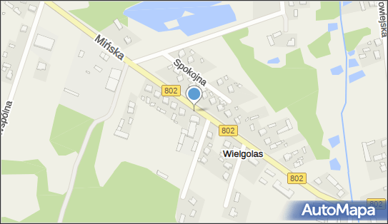 Paczkomat InPost WGS01M, Mińska 35, Wielgolas 05-334