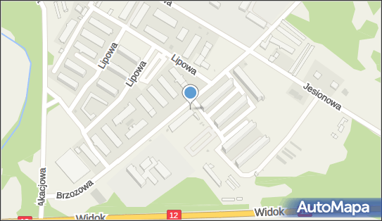 Paczkomat InPost WHE01M, Brzozowa 16, Wiechlice 67-300