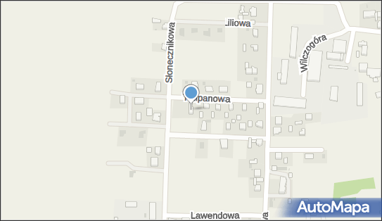 Paczkomat InPost WIC01A, Wilczogóra 155B, Wilczyn 62-550