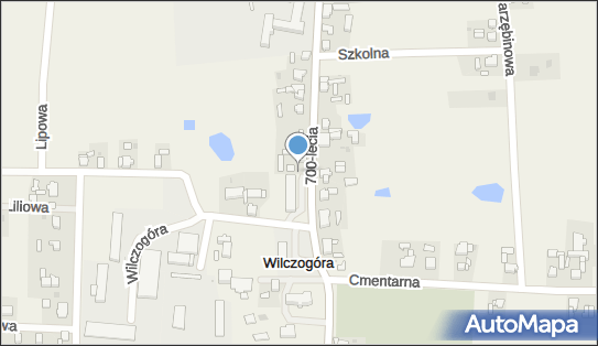 Paczkomat InPost WIC01BAPP, 700-lecia 28, Wilczogóra 62-550