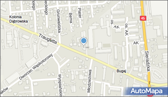 Paczkomat InPost WIE02A, Traugutta 14, Wieluń 98-300