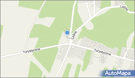 Paczkomat InPost WLAY01BAPP, Turystyczna 127, Władysławów 42-120