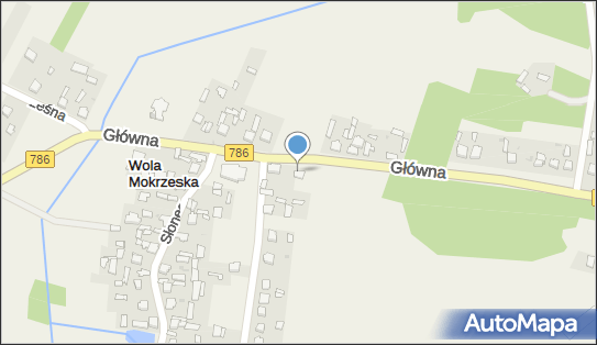 Paczkomat InPost WLMA01BAPP, Główna 1, Wola Mokrzeska 42-248