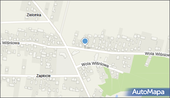 Paczkomat InPost WOWI01BAPP, Wola Wiśniowa 114, Wola Wiśniowa 29-100