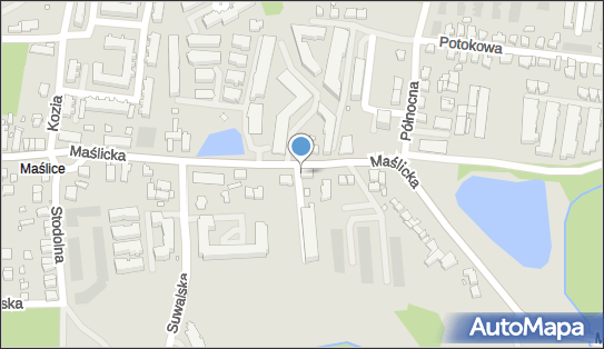 Paczkomat InPost WRO307M, Maślicka 166, Wrocław 54-142