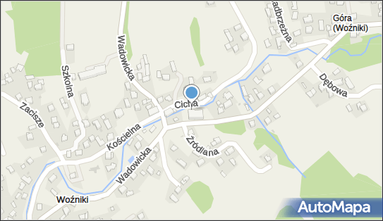 Paczkomat InPost WZI01M, Wspólna 5, Woźniki 34-103