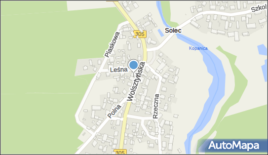 Paczkomat InPost XXC01M, Wolsztyńska 29, Solec 64-234