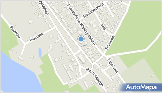 Paczkomat InPost ZAN01A, Raczyńskiego 35, Zaniemyśl 63-020