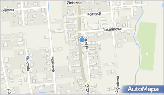 Paczkomat InPost ZLOB01BAPP, Brzeska 37, Żłobizna 49-305