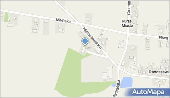 Dwór w Radoszewicach, Niemojewskich 3, Radoszewice 98-354 - Pałac, Dwór