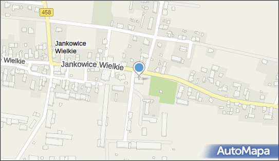 Dworski z 1 poł. XIX, Jankowice Wielkie 14, Jankowice Wielkie - Pałac, Dwór