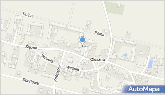 Pałac, Dwór, Ślężna 18, Oleszna 58-214, 58-210 - Pałac, Dwór