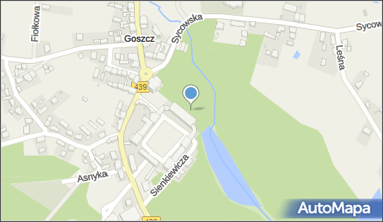 Pałac, Dwór, Plac Pałacowy 1, Goszcz 56-416 - Pałac, Dwór