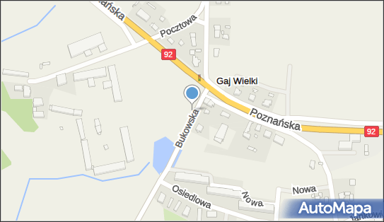 Pałac, Dwór, Bukowska 1, Gaj Wielki 64-530 - Pałac, Dwór