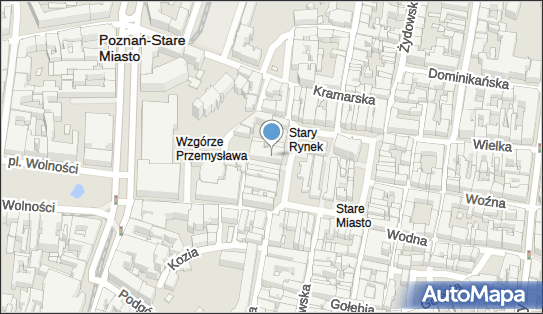 Pałac Działyńskich, Franciszkańska, Poznań 61-768 - Pałac, Dwór