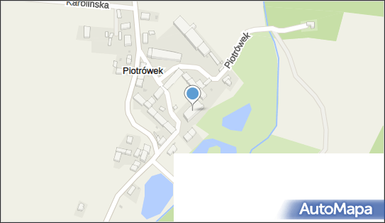 Pałac w Piotrówku, Piotrówek 16a, Piotrówek 55-065 - Pałac, Dwór